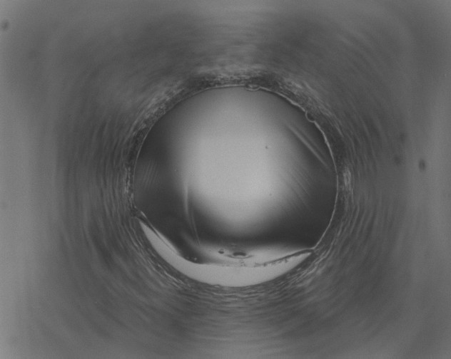 X0000078261300200612011644