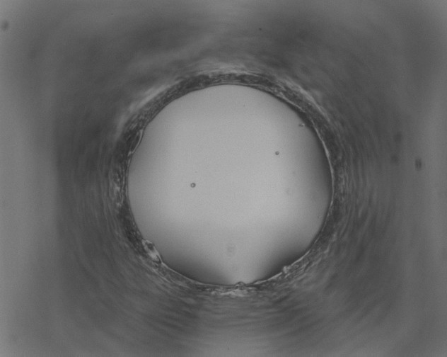 X0000078261303200612011644