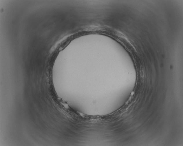 X0000078261304200612011644