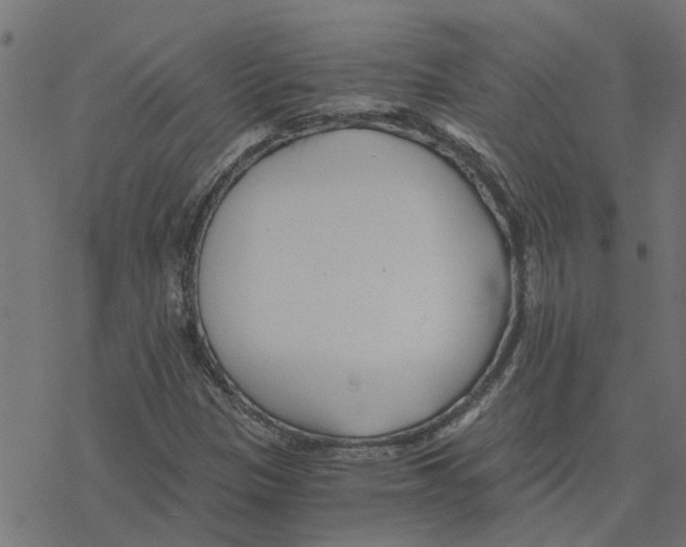 X0000078261305200612011644