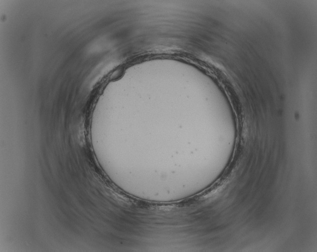 X0000078261306200612011644