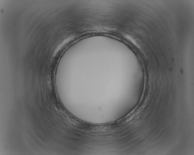 X0000078261307200612011644