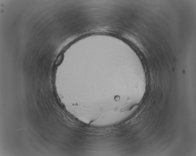 X0000078261308200612011644