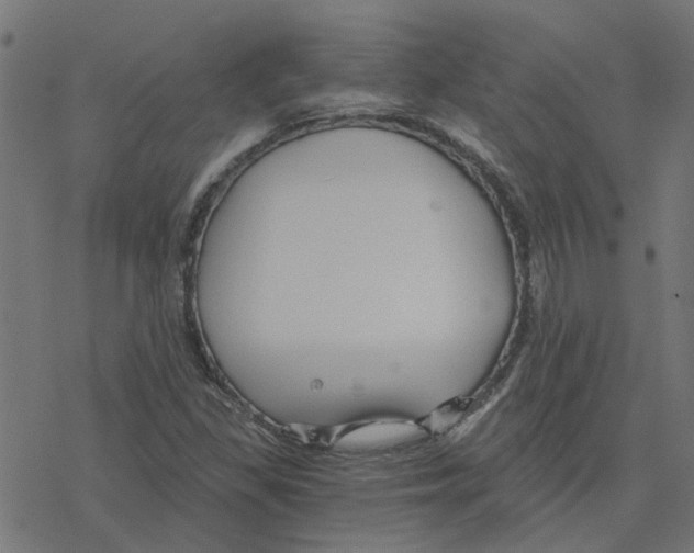 X0000078261309200612011644