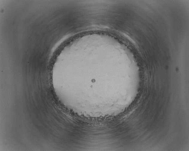 X0000078261310200612011644