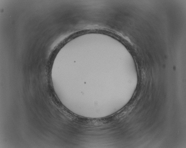 X0000078261311200612011644