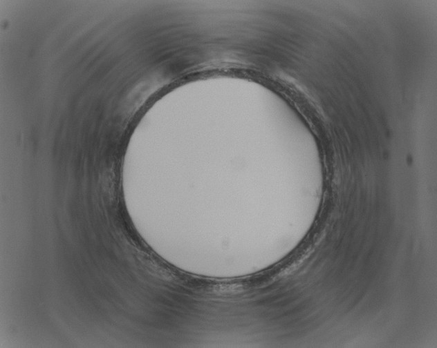 X0000078261313200612011644