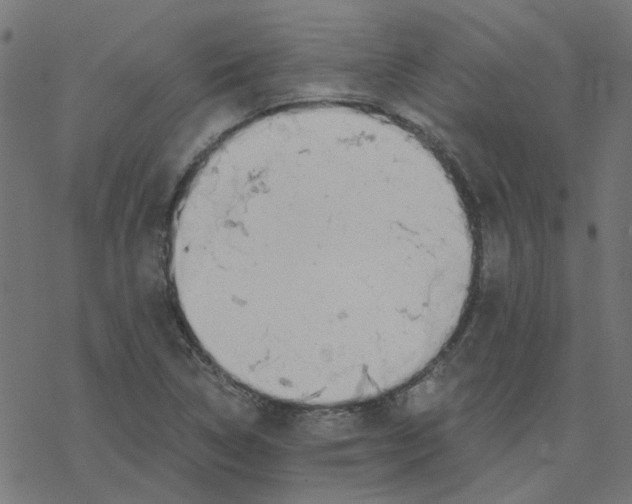 X0000078261314200612011644