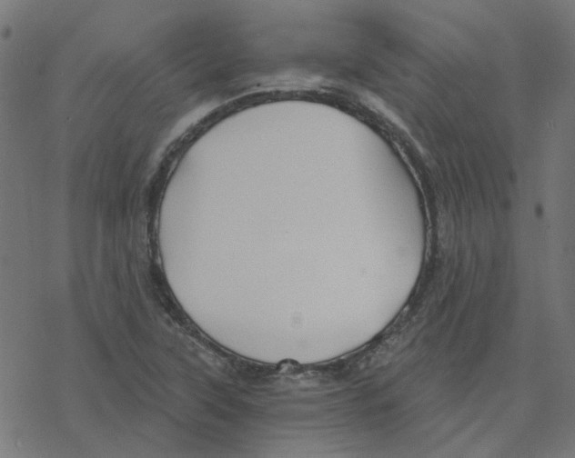 X0000078261315200612011644