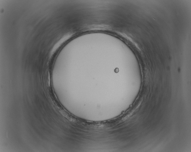 X0000078261317200612011644