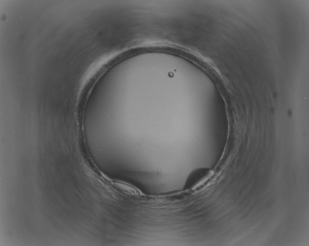 X0000078261319200612011645