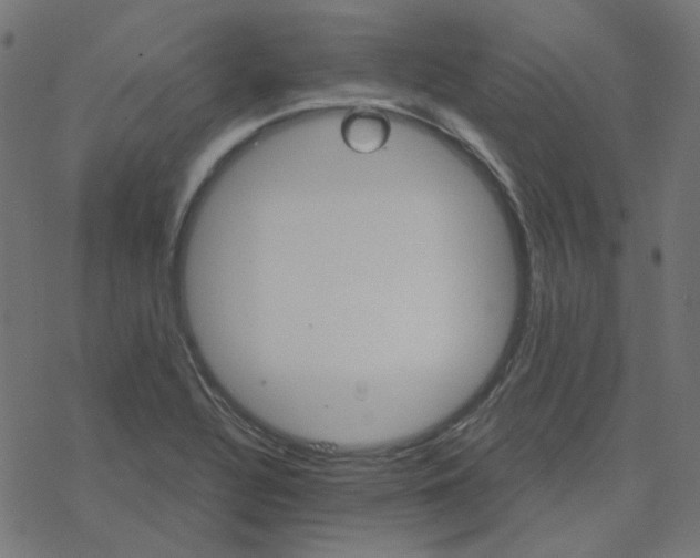 X0000078261320200612011645