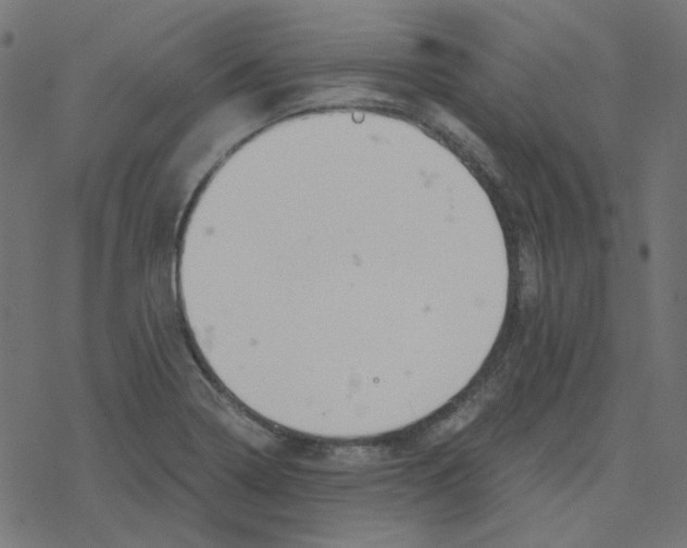 X0000078261322200612011645