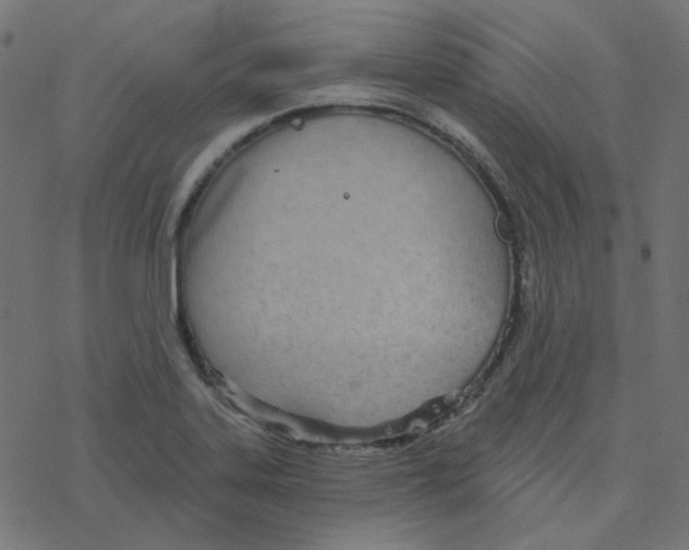 X0000078261323200612011645