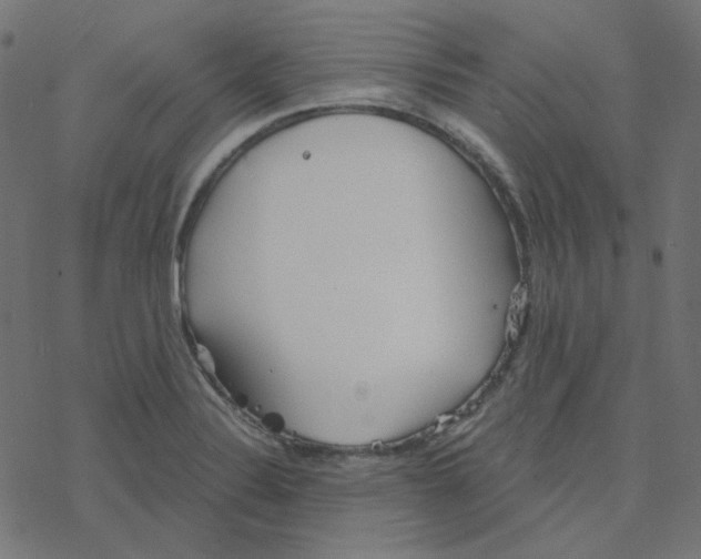 X0000078261324200612011645