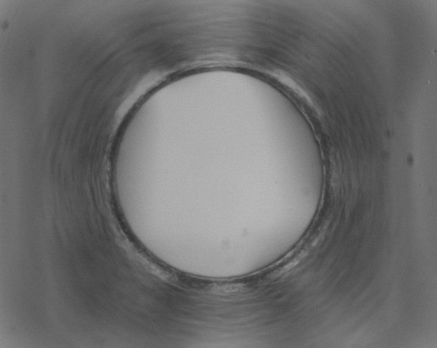 X0000078261325200612011645