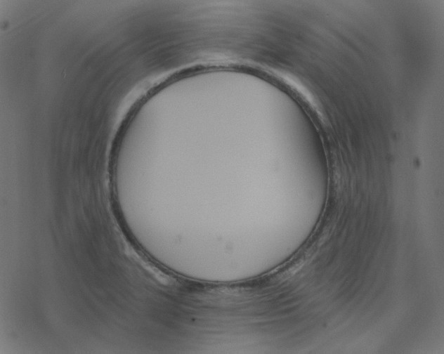 X0000078261327200612011645