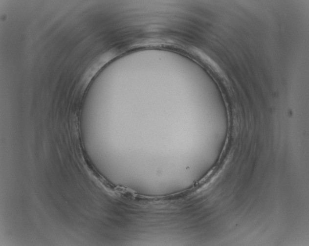 X0000078261329200612011645