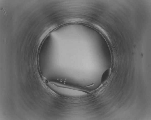 X0000078261330200612011645