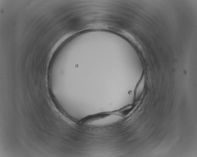 X0000078261331200612011645