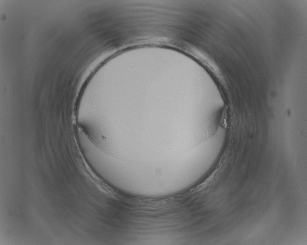 X0000078261332200612011645