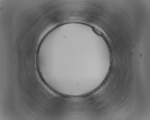 X0000078261333200612011645