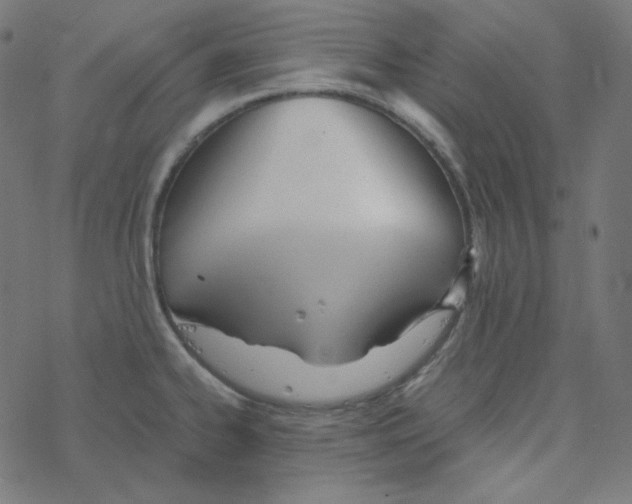 X0000078261334200612011645