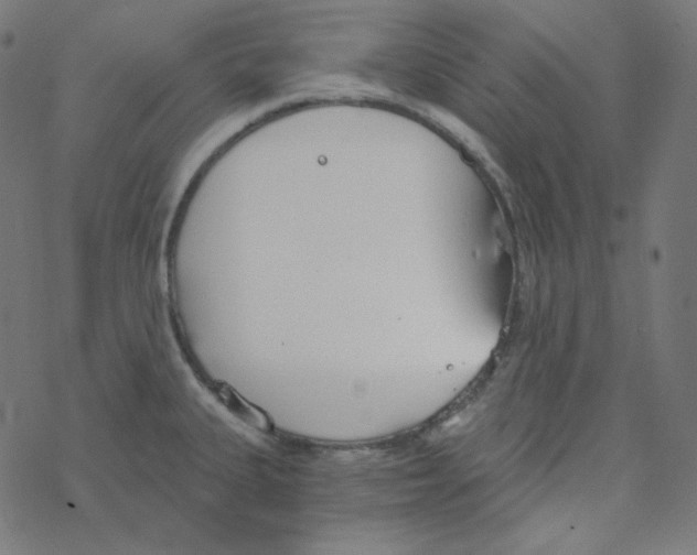 X0000078261335200612011645