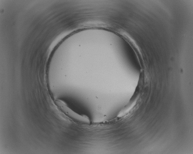 X0000078261336200612011645