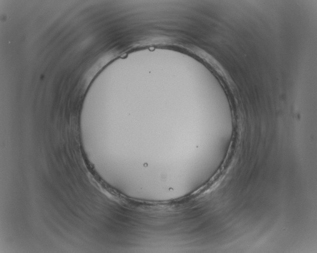 X0000078261337200612011645