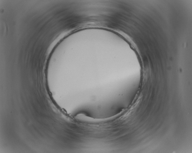 X0000078261341200612011645