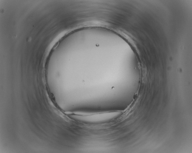 X0000078261342200612011645