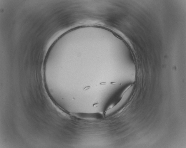 X0000078261343200612011645