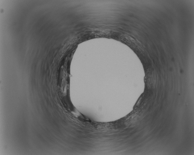 X0000078261345200612011644