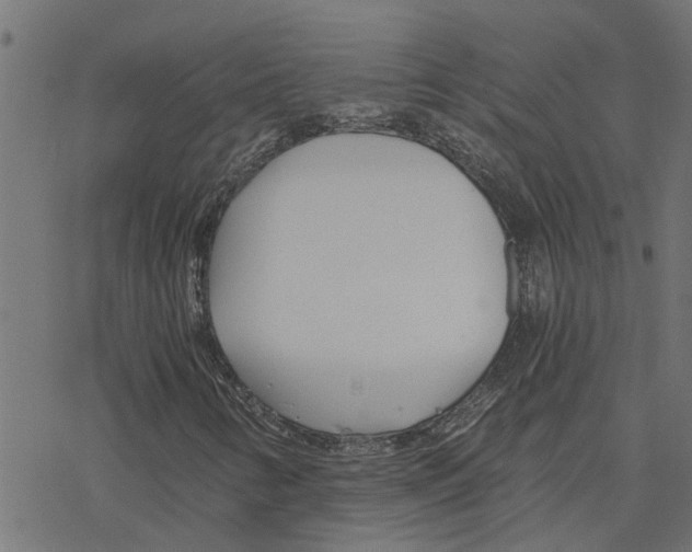 X0000078261346200612011644