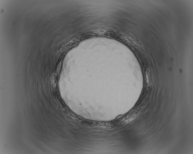 X0000078261347200612011644