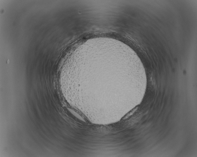 X0000078261348200612011644