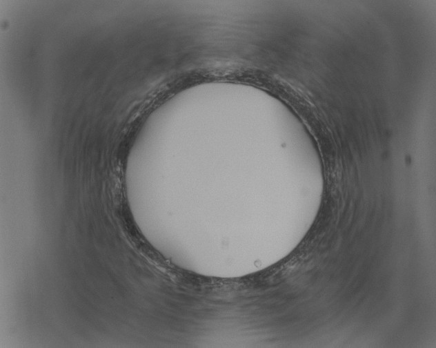 X0000078261349200612011644