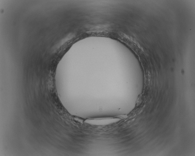 X0000078261350200612011644