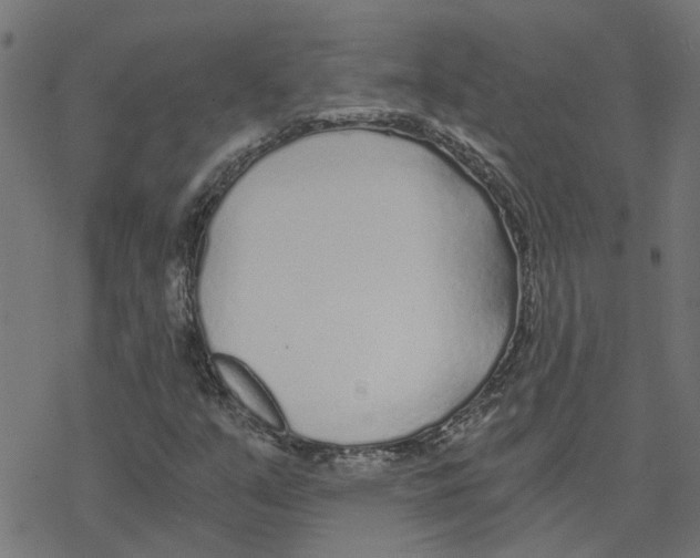 X0000078261351200612011644