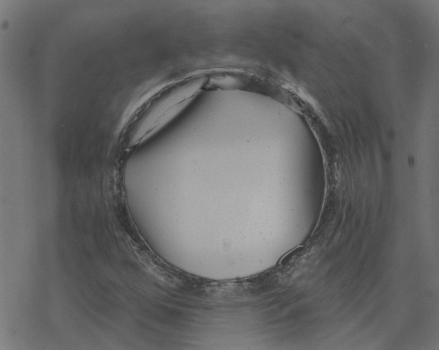 X0000078261352200612011644