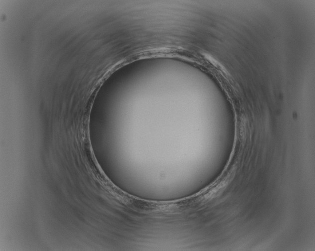 X0000078261353200612011644