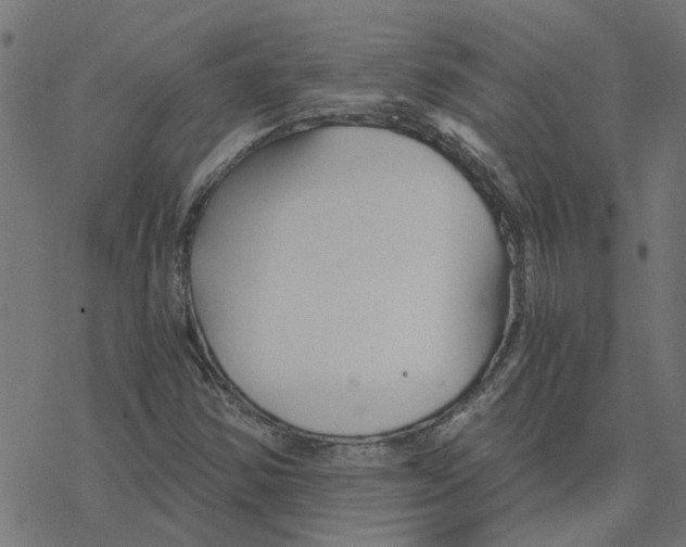 X0000078261354200612011644