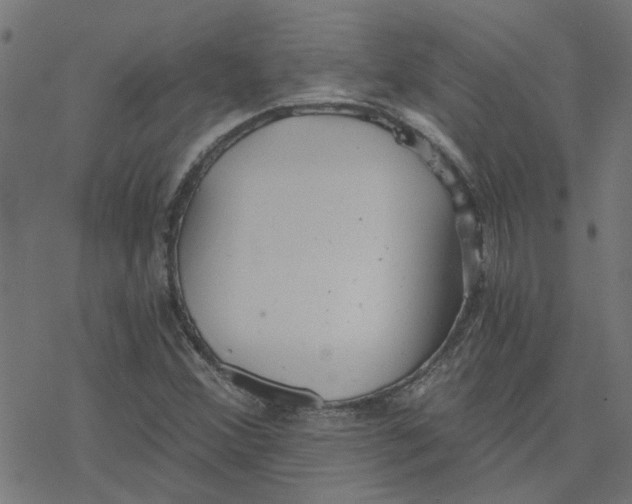 X0000078261356200612011644