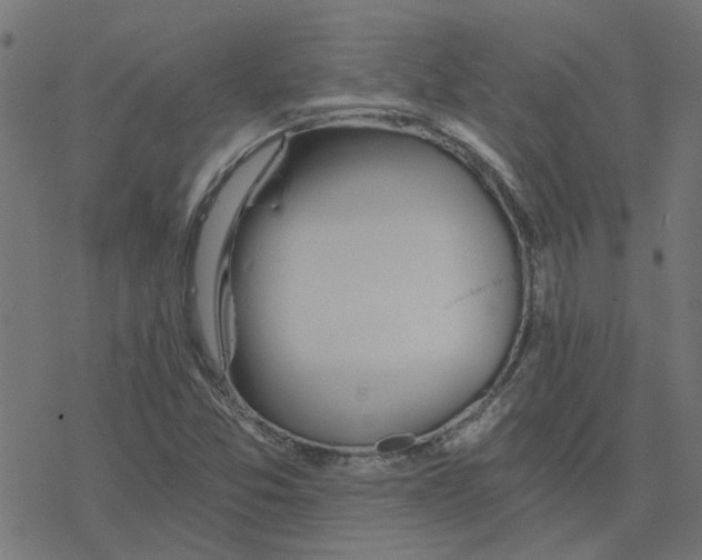 X0000078261357200612011644