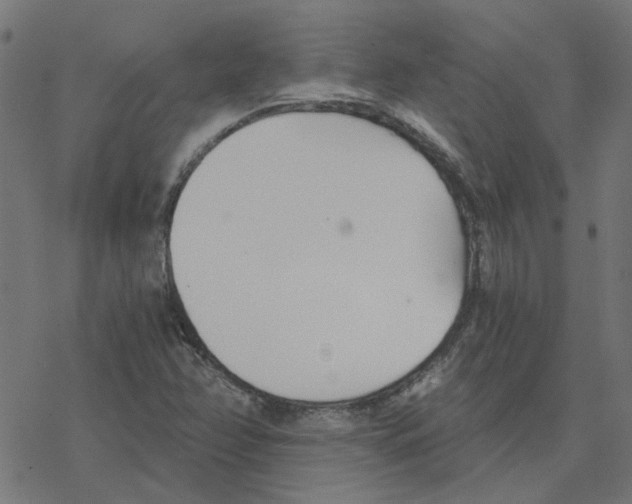 X0000078261358200612011644