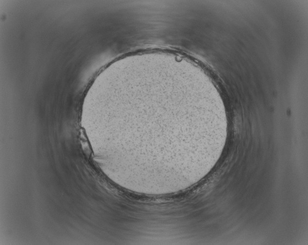 X0000078261359200612011644