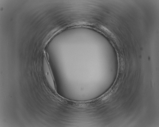 X0000078261361200612011644