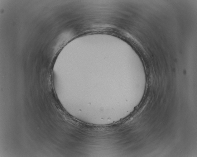 X0000078261362200612011644