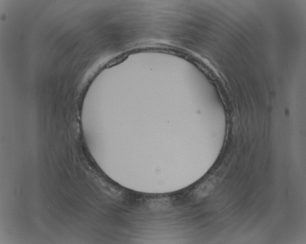 X0000078261363200612011644